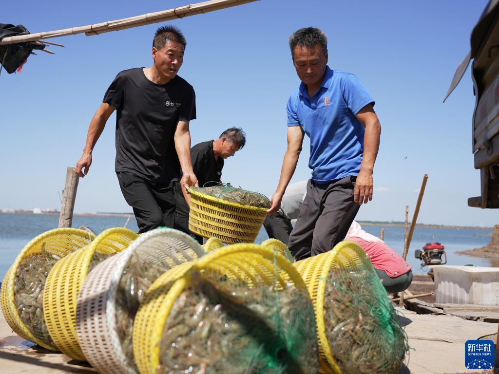 九州天下现金首页